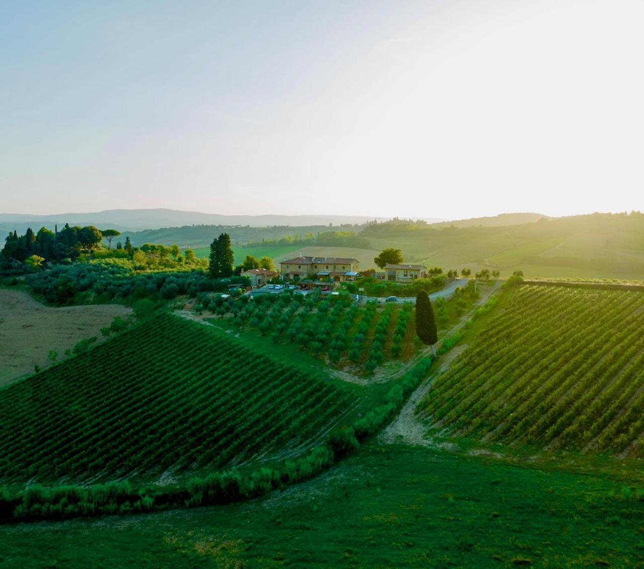 Vittoria Chianti Vacations Apartman Poggibonsi Kültér fotó